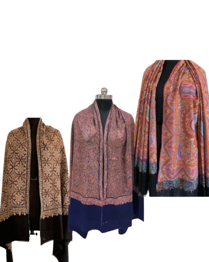 Handcrafted Pashmina shawl with an elegant woven border design, draped gracefully to highlight its soft and luxurious texture.