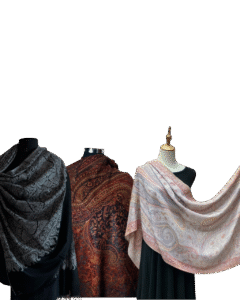 Full jhall pashmina shawl with intricate embroidery – luxurious traditional handcrafted design